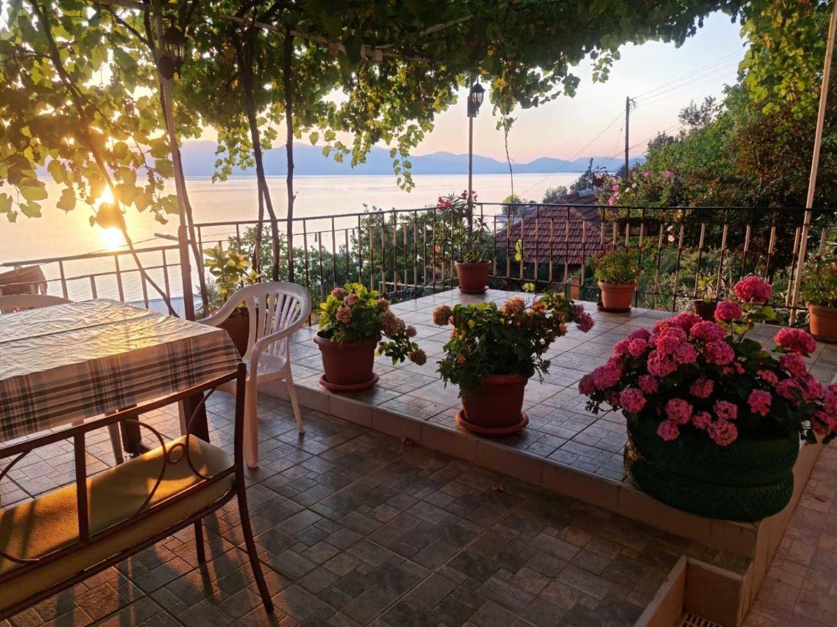 Sonce Guest House Ochryda Zewnętrze zdjęcie
