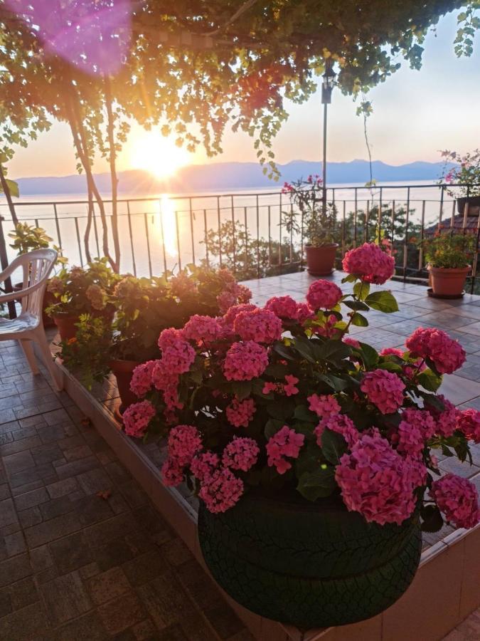 Sonce Guest House Ochryda Zewnętrze zdjęcie