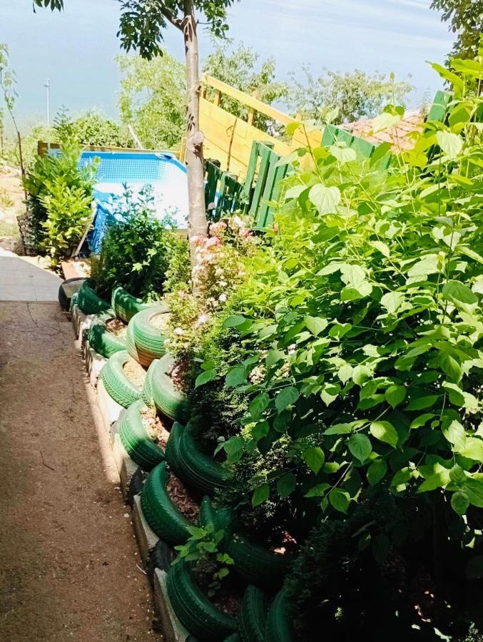 Sonce Guest House Ochryda Zewnętrze zdjęcie