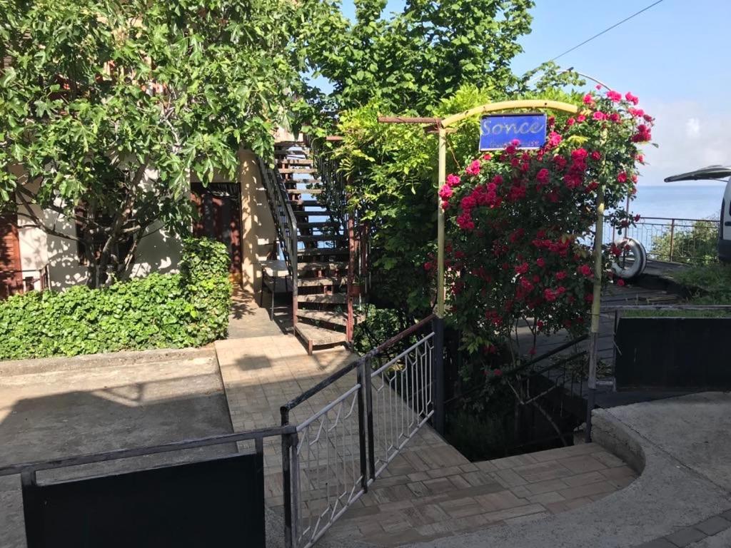 Sonce Guest House Ochryda Zewnętrze zdjęcie
