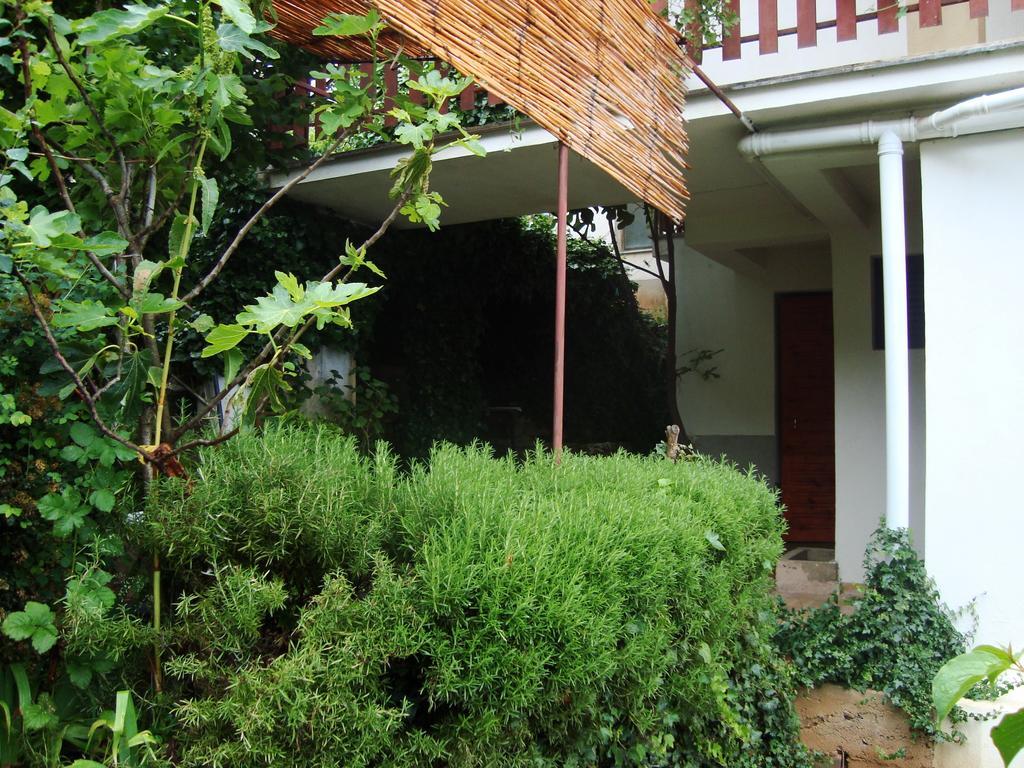 Sonce Guest House Ochryda Zewnętrze zdjęcie