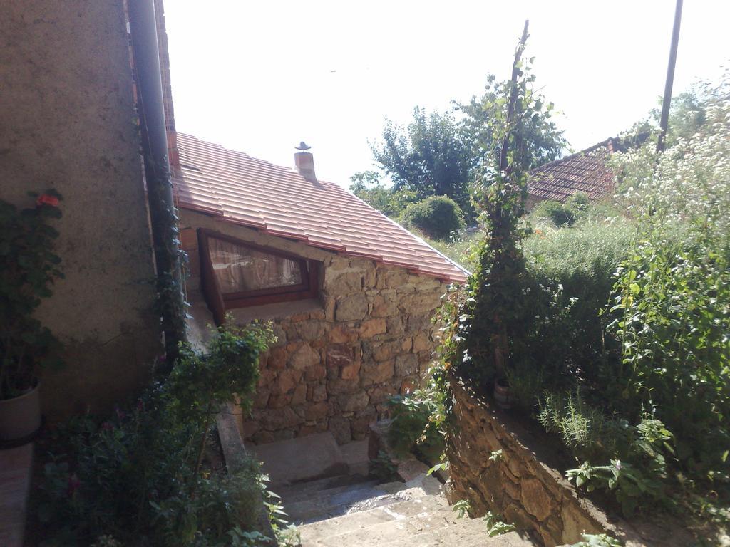 Sonce Guest House Ochryda Pokój zdjęcie