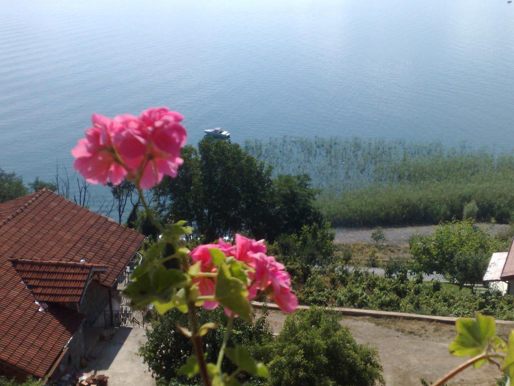 Sonce Guest House Ochryda Zewnętrze zdjęcie