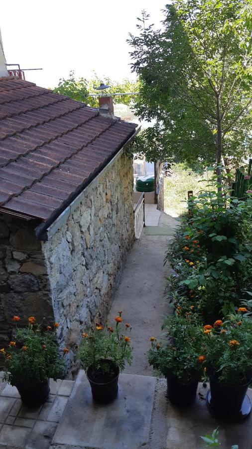 Sonce Guest House Ochryda Zewnętrze zdjęcie